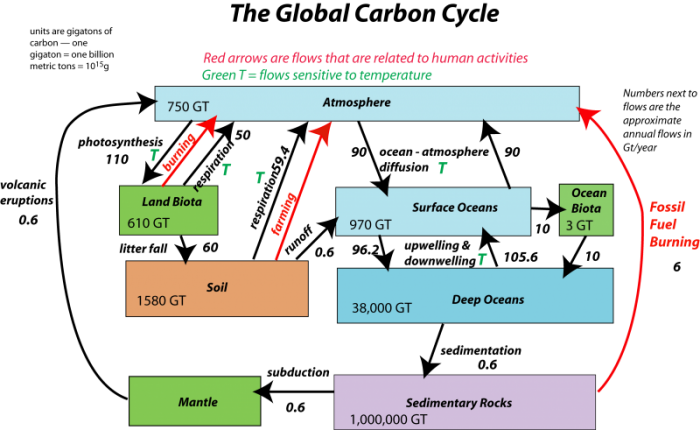 Overview of the Carbon Cycle from a Systems Perspective EARTH